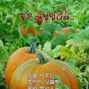 9월19일 목요일 오늘의 책속의 한마디 이미지