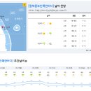 2022년 9월 1일(목요일) 10:00 현재 대한민국 날씨정보 및 기상특보 발표현황 (울릉도, 독도 포함 - 기상청발표) 이미지