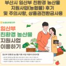 금사농업협동조합 | 부산시 임산부 친환경 농산물 지원사업(농협몰) 후기 및 주의사항, 상품권전환금사용