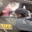 B/F Dog Talk Talk 이미지