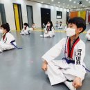 국가대표태인태권도장 이미지