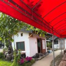 양당 | 천안 양당가든 능이오리백숙 건강 보양식 맛집 추천