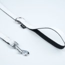 멋내는 강아지 이미지