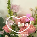 플라워59 | 초전동 꽃집 가인플라워 내돈내산 꽃다발 후기 ｜ 크리스마스 선물 추천