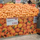 제로마진유통 이미지