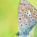 소풍캠핑장 이미지