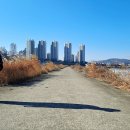 부곡1세천 이미지