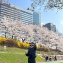 무신사 유즈드 사용후기🔎🔎｜플랙 데님 셋업 5만원에 산 후기