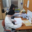 경북 구미시, 원룸 실거래가 허위신고 수십 건 적발···수사 의뢰 이미지