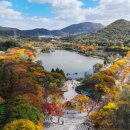 초겨울 추위 앞두고 인천대공원 가을 단풍 절정 이미지