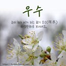 오늘이 절기상 우수(雨水)다. 이미지