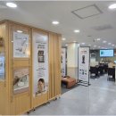 나비엘 - 전주시 완산구 용머리로 152 | 나비엘