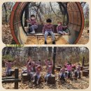 새싹과 나무어린이집 | (🥰아이들에게 꿈을 심어 주는 송파구 삼전동 새빛어린이집 소식)~숲체험 후기