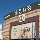 광장시장 먹거리, 순희네빈대떡 전라도횟집 솔직 후기 리뷰