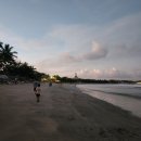 영광기사식당 | 22일차. 꾸따 하드락 발리 끝. 발리 사파리 4박 시작. 발리 사파리 무료픽업 식당 와룽레공 강추. (0908)