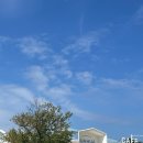 대부도 파란하늘 | [리뷰] 대부도 감성 카페 후아후아 내돈내산 방문 후기 / 대부도 카페 추천