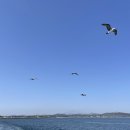 헤이, 서귀포 이미지