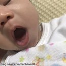 아기침독크림/몽디에스 아토밤/침독크림추천
