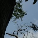 남궁농원 이미지