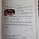 스튜디오홀호리(주) 네이버블로그