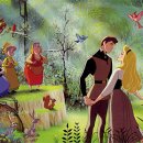 코리아안경 이미지