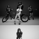 하니비디오 이미지