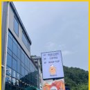 반피나(banpina) 네이버블로그