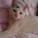 지안마트 이미지