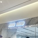 A050 | 미우미우 리가드 선글라스 ,투명렌즈 교체 후기 ft.신세계강남점