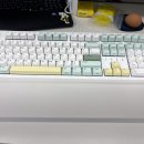 사무용 키보드 후기 | 한성 TFG Cloud Max CF 말차 크림, KTT블루 저소음 내돈내산