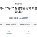 청원동물병원 이미지