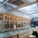 나래안경 이미지