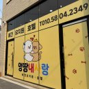 멍땅내사랑 애견유치원 애견호텔 | 평택 멍땅내사랑 애견유치원이 드디어 오픈했어요! - [유치원 창업 컨설팅반]