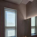 미다모아 이미지