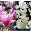 이로움메디컬 이미지