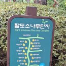 [제1326회 건강걷기] 10월 09일(목) 남산 남쪽 숲 둘레길 걷기 안내 이미지