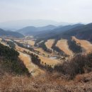 오로 Daum카페
