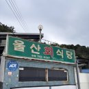 울진물회 | [울진 물회 내돈내산] 울산회식당 주말 웨이팅 후기 오징어회 잡어회