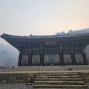 봉화대웅 뉴시스