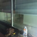 서도티에스 이미지