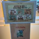 브라보폰 | 강릉 애견동반 맛집 브라보칼국수 강릉본점 오션뷰 해물칼국수 솔직후기