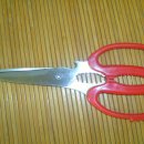 경주하늘 여니 이미지