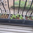 제주반디하우스 이미지