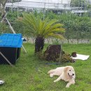 송당휴먼오름 이미지