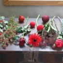 힐링플라워 이미지