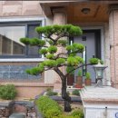 꽃길공인중개사사무소 이미지