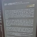 선덕여왕릉 화장실 | 경주 선덕여왕릉 &amp; 사천왕사지 주차 가는 길