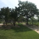 곡성보훈회관 이미지