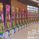 KB국민은행 김포공항 롯데몰지점 오픈 개점식 축하 쌀드리미화환 - 쌀화환 드리미 이미지