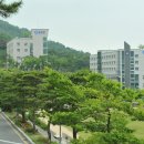 김해대학교 이미지